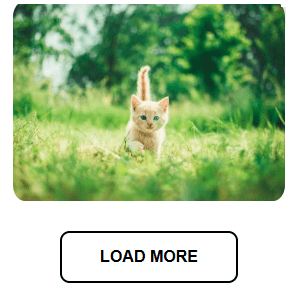 React + TypeScript Image Search Application